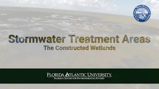 Stormwater Treatment Areas: The Constructed Wetlands