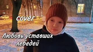 Димаш - Любовь уставших лебедей (cover Макс Краш)