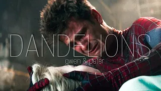 Dandelions - Gwen and Peter - The amazing spiderman 2 - huh roha