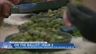 Issue 2: Ohio votes on legalizing recreational marijuana