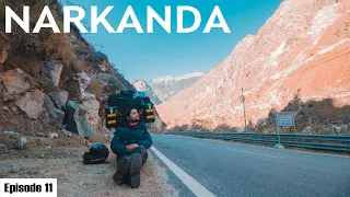 Narkanda - My Wild heart found it's Zen | Kalpa to Narkanda | The Roads Calling Ep:10 | STRAY ARTIST