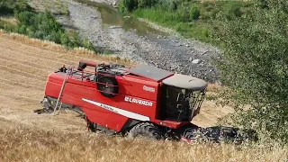 Mietitura EROICA con Laverda L4 techno