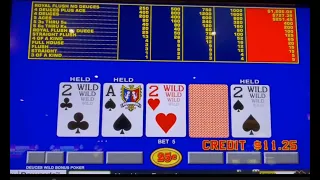 Video Poker: Deuces Wild Bonus Poker Progressive Session!