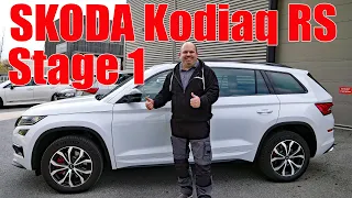 Skoda Kodiaq RS // Software Stufe 1 + Leistungsmessung