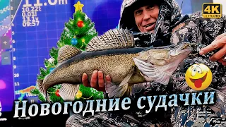 Рыбалка с Panoptix LIVESCOPE перед Новым годом. Зимний спиннинг