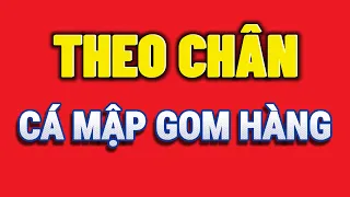 🔴Phân Tích Bitcoin Ngày 16-4-2024 - THEO CHÂN CÁ MẬP GOM HÀNG - Blockchain Việt Nam