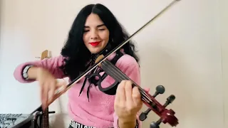 Don’t you worry child - Swedish House Mafia ( Electric violin cover )