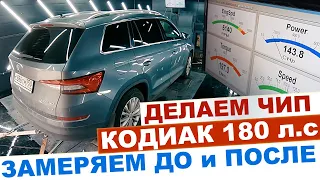 ДЕЛАЕМ ЧИП ШКОДА КОДИАК 180 л.с и БМВ Х3 2.0 ДИЗЕЛЬ 190 л.с. ЗАМЕРЯЕМ НА СТЕНДЕ ДО и ПОСЛЕ