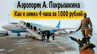 Boeing 737-800 / Победа / Новосибирск-Москва