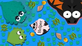 MOPE.IO / FLAMINGO AND SEA MONSTER= OP TEAM / LEVEL UP TO BLACK DRAGON