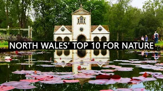 10 best things to do in North Wales