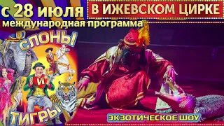 Итальянский Цирк Слоны и Тигры в Ижевске