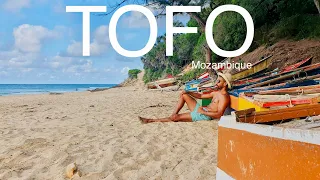TOFO MOZAMBIQUE The only Tofo travel guide you'll ever need!