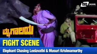 Mrugalaya -- ಮೃಗಾಲಯ | Elephant Chasing Leelavathi and Musuri |FEAT. Ambarish, Geetha