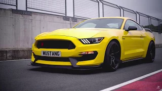 CARPORN - Ford Mustang Shelby GT350R