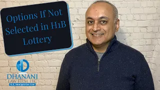 What Are Your Options If Not Selected In H1B Lottery?