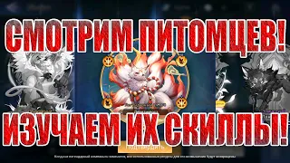 ВСТРЕЧАЕМ ПИТОМЦЕВ В Mobile Legends: Adventure