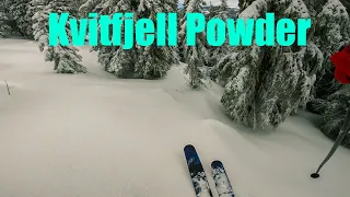 Kvitfjell Powder 2020| GoPro Hero 8