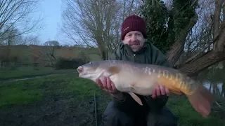 Carp Crash the Perch Session at Viaduct