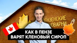 Кленовый сироп из ПЕНЗЫ!