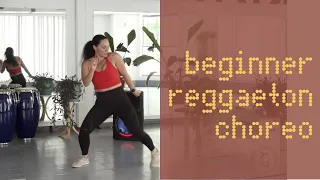 Beginner Reggaeton Choreography | Laurel Card