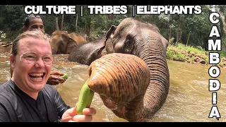 Bathing with Elephants in Cambodia's Rainforest!