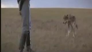 Dances With Wolves - Wolf Scene -- Lt John Dunbar Receives his Sioux Name (Deleted Footage)