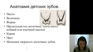 Детская стоматология 2.Особенности строения зубочелюстной системы у детей