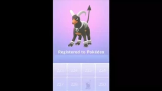 Gen 2 PokemonGo Catching, Houndoom