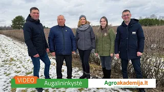 „Gaurės uogos“: ketiname augti kartu