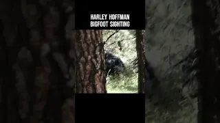 Harley Hoffman Bigfoot Sighting In BC Canada #shorts #bigfoot