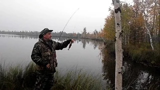 За щукой через болота