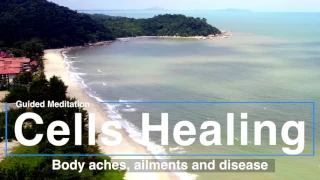 Cells healing the Body - New Guided meditation