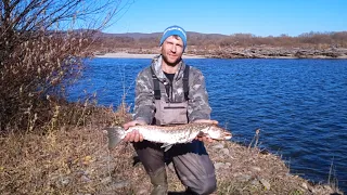 Рыбалка на реке Максимовке, недельное проживание в палатке. Рыбалка - осень 2023 года. 🔥🔥😱😱УЛОВ😱😱🔥🔥