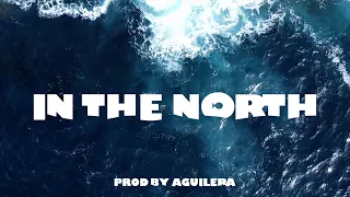 IN THE NORTH - SHORT SURFSKATE FILM