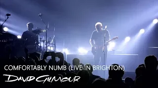 David Gilmour - Comfortably Numb (Live In Brighton)