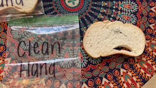 Science Story Time: Bread and Mold