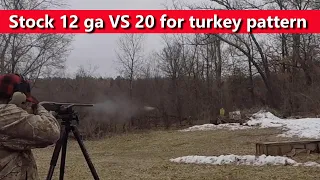 12 vs 20 gauge and 4 vs 5 shot for turkey hunting