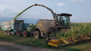 INSILATO DI MAIS: NEW HOLLAND FR920 - TM175 | FENDT 718 - FAVORIT 511 - FARMER 411 | STEYR 4105