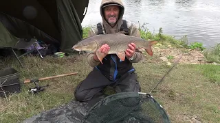 BARBEL FISHING TIDAL TRENT. Tackle, Rigs and Bait