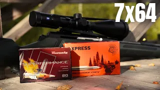 7x64 Hornady Super Performance VS Geco Express (AMMO TEST)