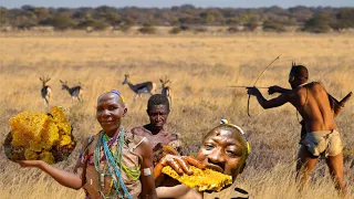 Hadzabe Tribe: How Hunter Gatherers Survive by Harvesting and Eating Honey and Hunt Their Food
