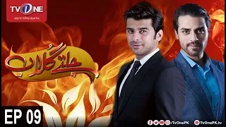 Jaltay Gulab | Episode 9 | TV One Classics | 18th November 2017