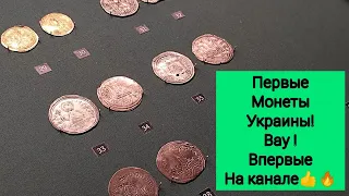 Первые гривны монеты с трезубцем Владимир великий 1 гривна период киевской Руси цены инвестиции клад