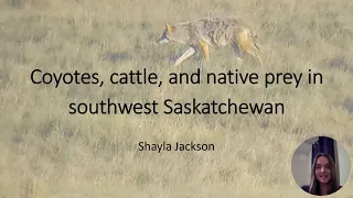 Expanded Coyote Project Results from SW Saskatchewan Summary