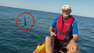 6 Shark Encounters That Will Haunt You (Part 2)