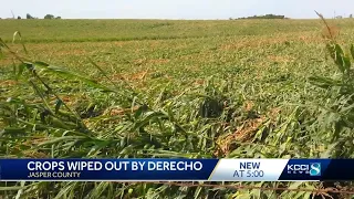 'This took everything': Iowa farmer says derecho totaled entire 2020 crop