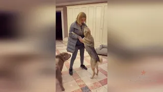 Как встречают Ольгу Орлову ее собаки