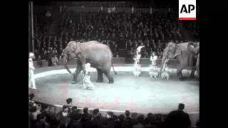 AT THE CIRCUS - BERTRAM MILLS