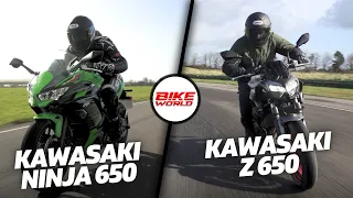 Kawasaki Ninja & Z650 | Same Engine 2 Different Bikes, Still fun?